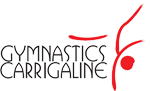 logo img