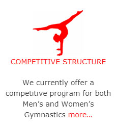 Competitive Structure